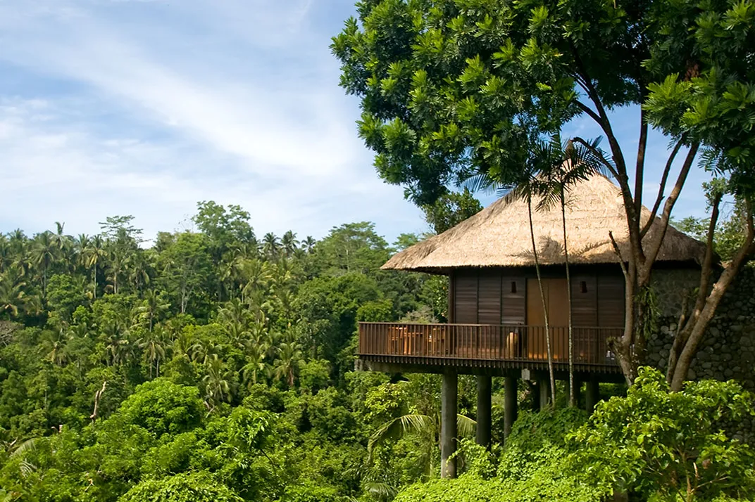 A thatched villa on stilts at the edge of the Ayung valley at Alila Ubud