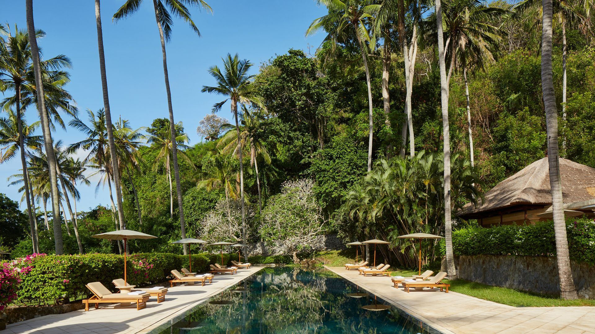 The quiet pool at Amankila's Beach Club, flanked by tall palm trees