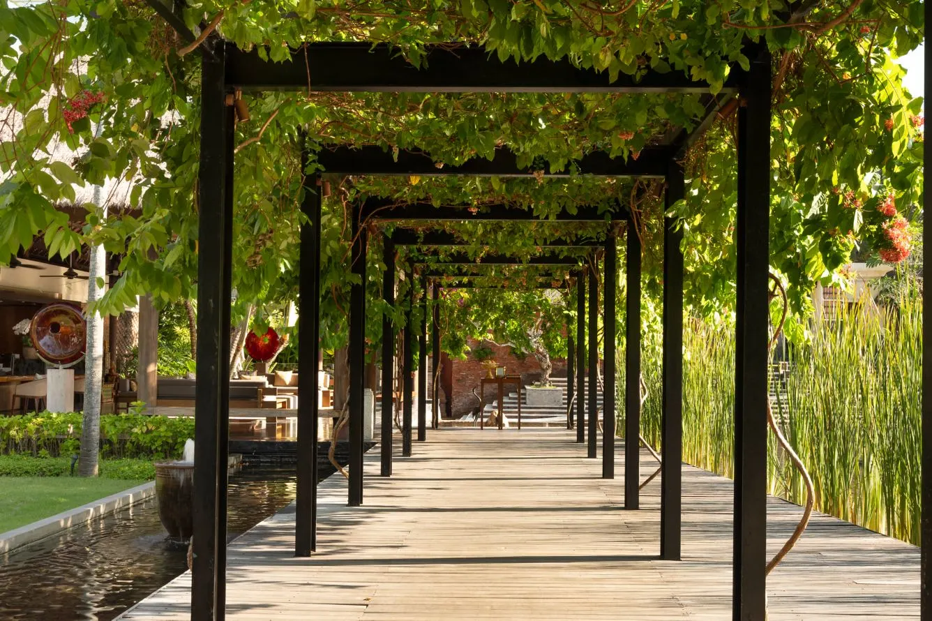 A pergola walkway covered in flowering vines at Amarterra, leading towards red-brick steps