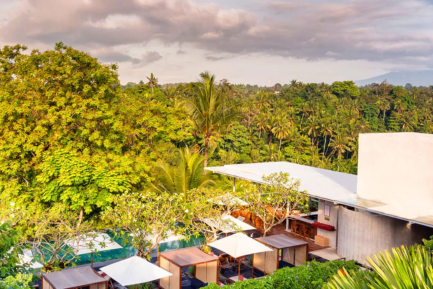 Bisma Eight from above at dusk, cabanas along the pool with the Ubud treeline beyond