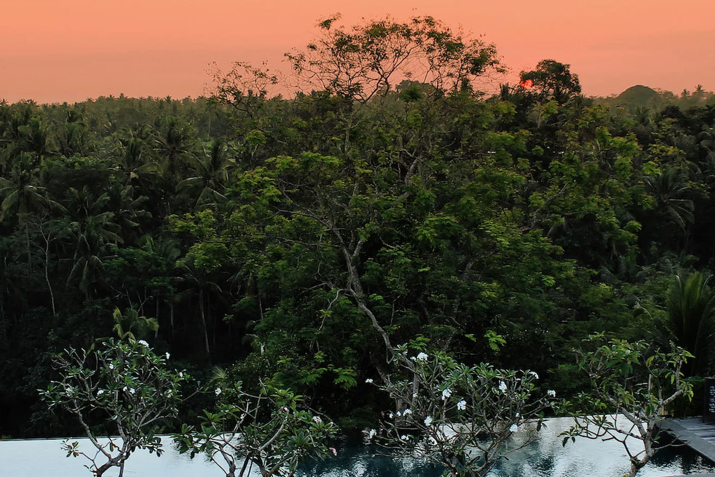 The infinity pool at Bisma Eight at sunset, looking out over the jungle of the Campuhan valley