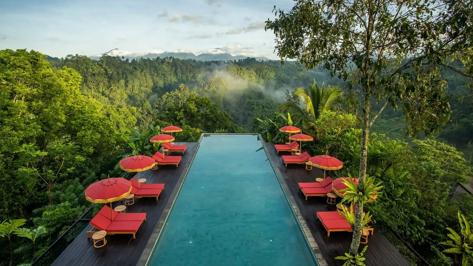 The infinity pool at Buahan, red umbrellas and loungers set into the dense Ayung valley canopy