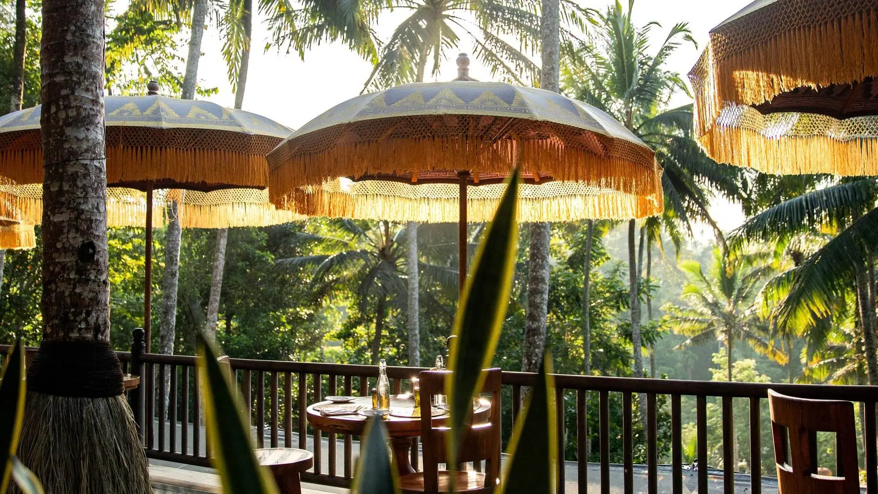 Parasols and a deck among the trees at Capella Ubud