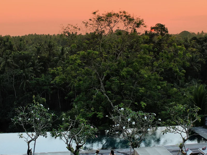 The infinity pool at Bisma Eight at sunset over the Campuhan valley