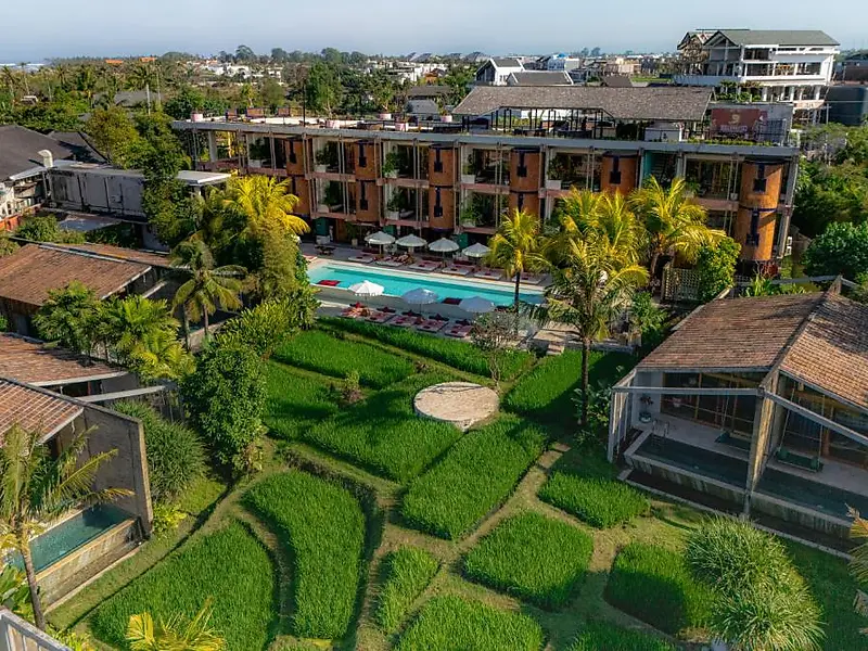 Aerial view of Shore Amora's villas and pool arranged around a working rice field in Pererenan