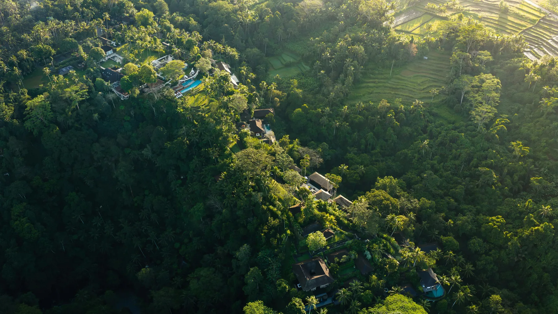 Aerial view of Como Shambhala Estate at first light, its residences strung along a jungle ridge with rice terraces beyond