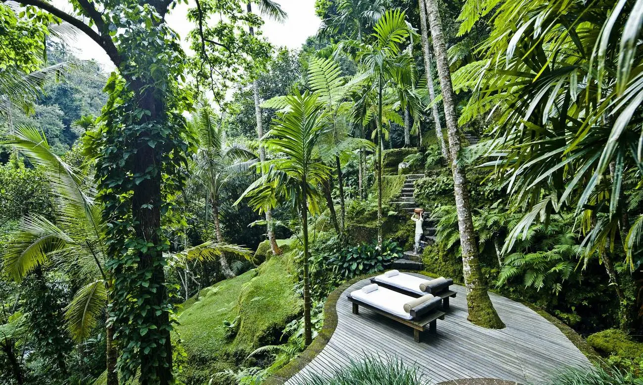 A forest path at COMO Shambhala Estate near Ubud