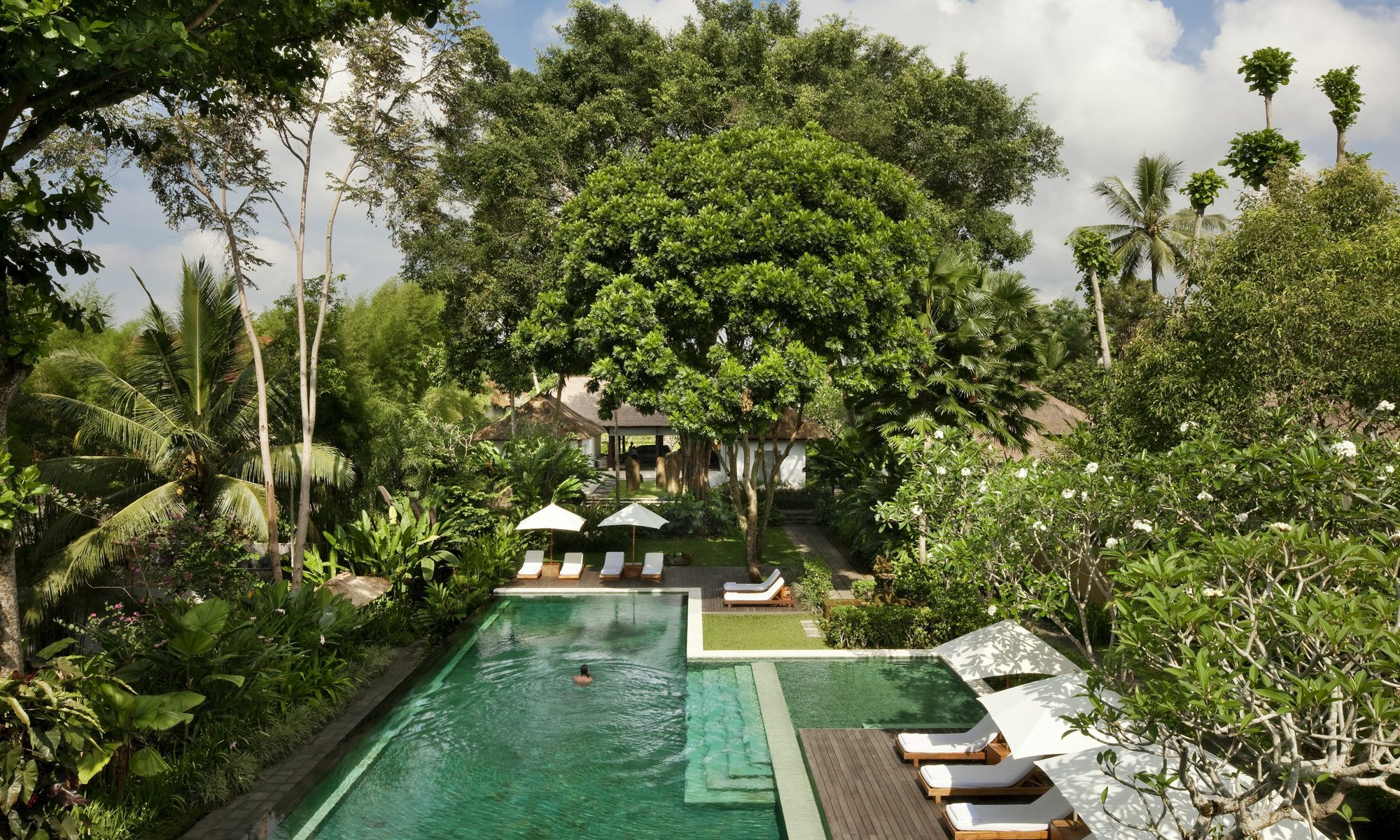 Como Uma Ubud's pool seen from above, framed by jungle