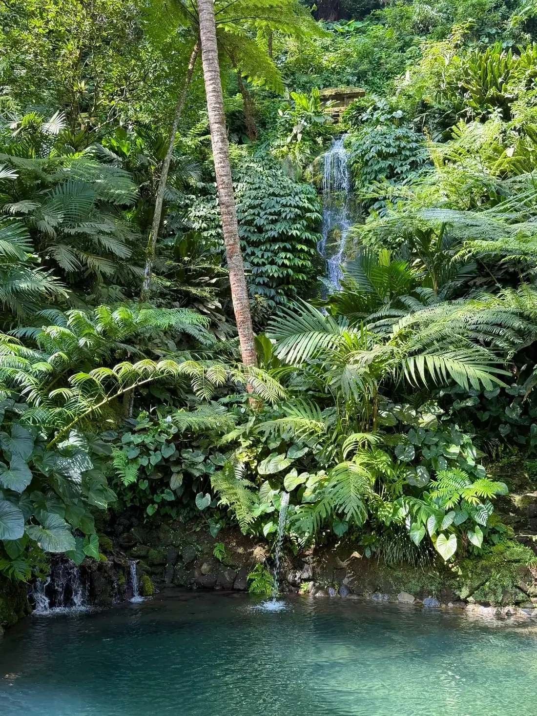 A jungle waterfall feeding a clear pool in Bali