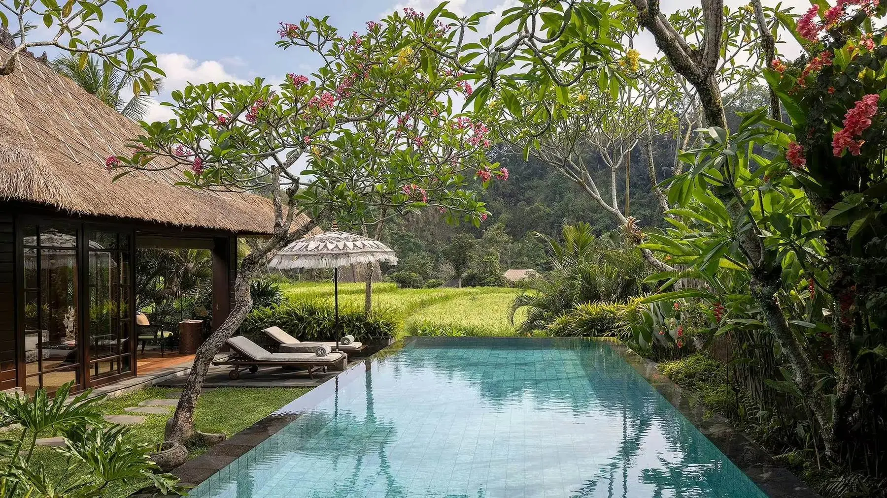 A villa pool above the rice fields at Mandapa