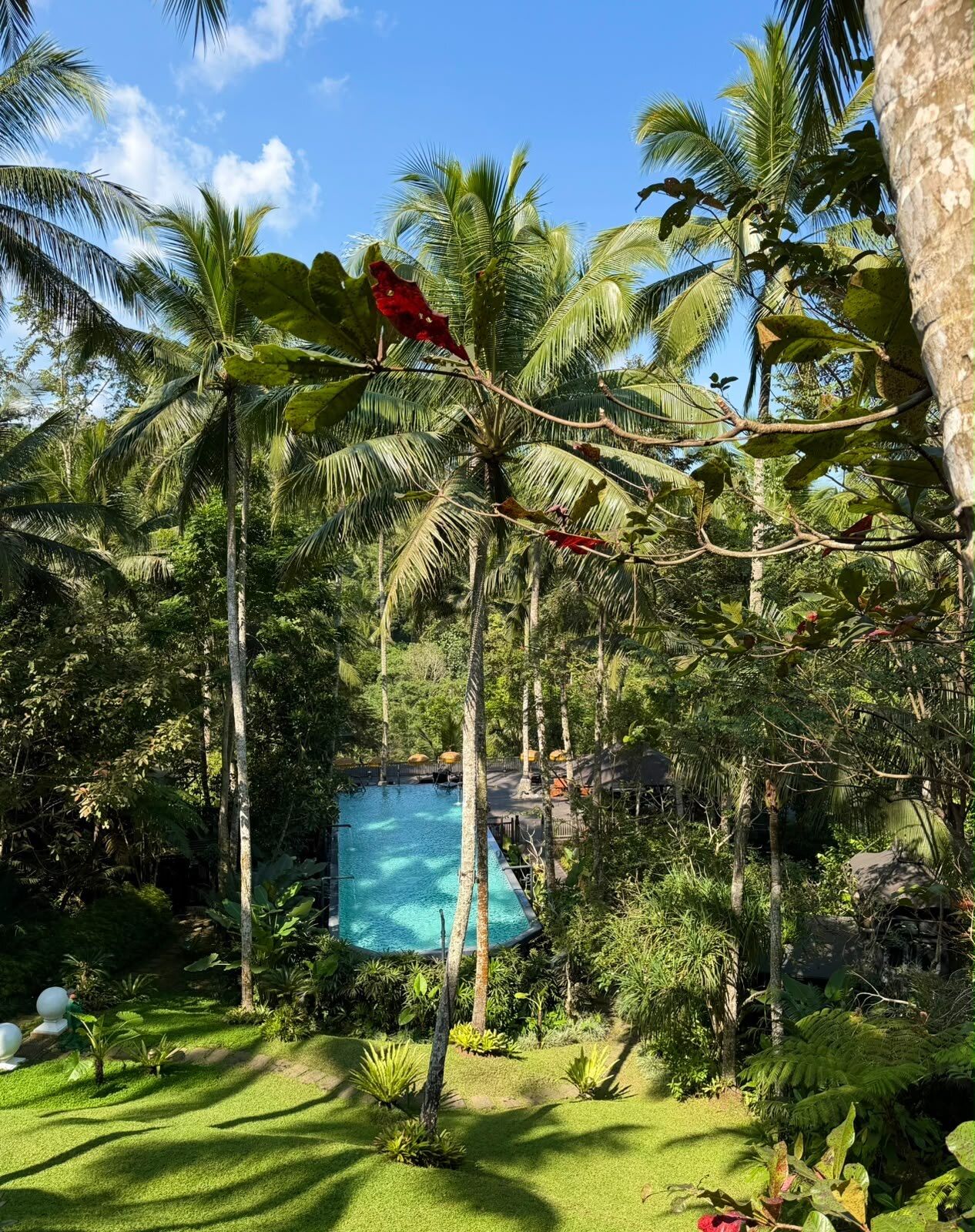 Pool surrounded by jungle at Como Shambhala