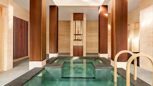 A quiet plunge pool inside the spa at Regent Bali Canggu