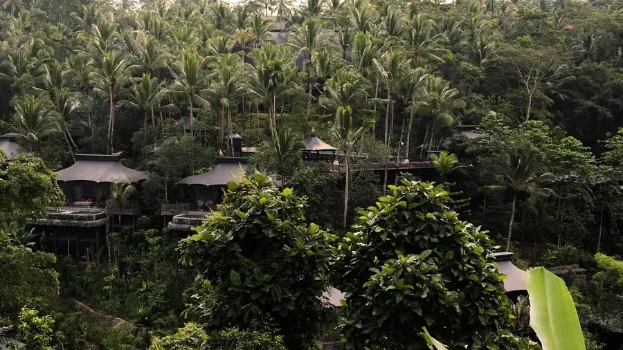 Capella Ubud's tents in the jungle