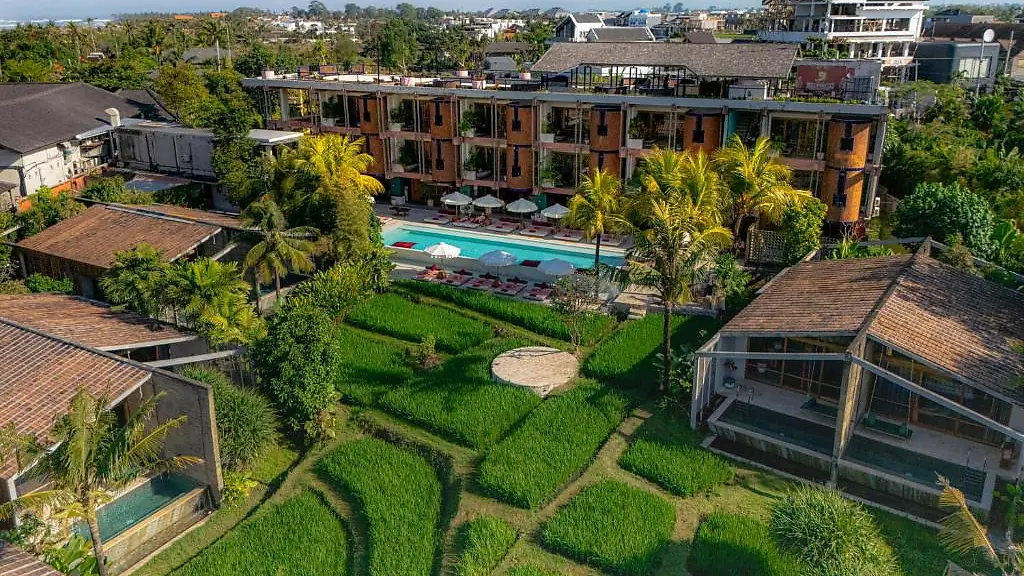 Aerial view of Shore Amora's villas and pool arranged around a working rice field in Pererenan
