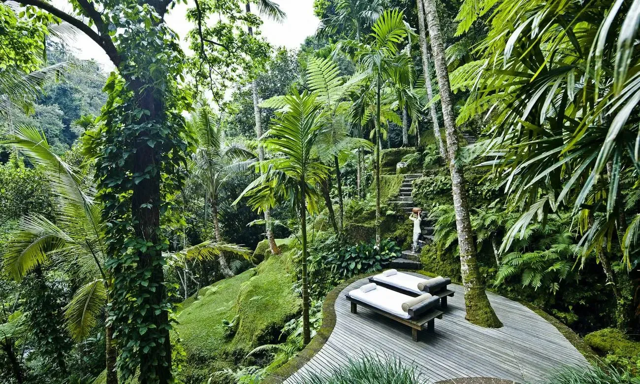 Staff member walking down mossy stone steps through the jungle toward the water gardens