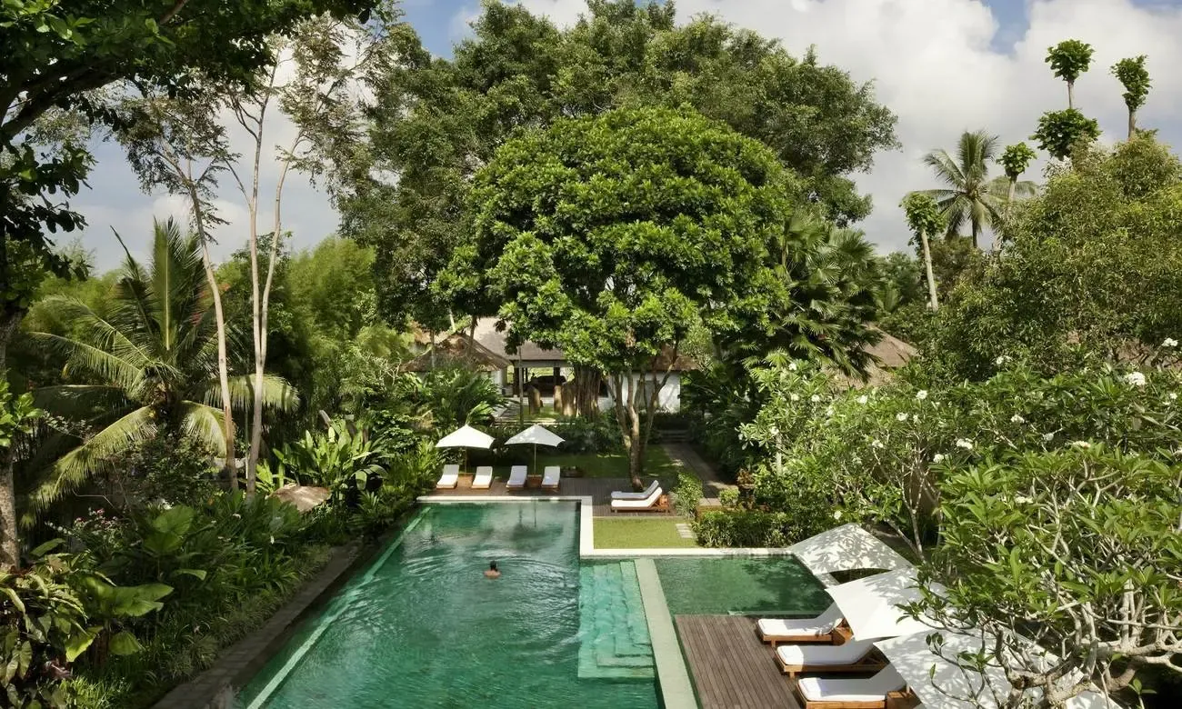 Como Uma Ubud's pool seen from above, framed by jungle