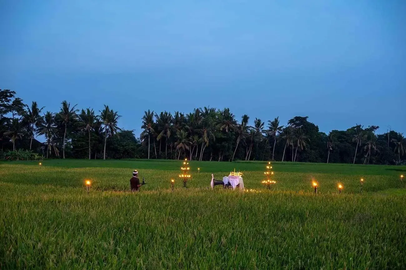 Private dinner set up in the rice fields at Tanah Gajah at dusk